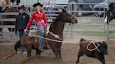 Guide to the 2024 Montana High School Rodeo Finals