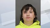 Pittsfield teen charged with shooting after he says kids egged his house