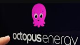 Octopus Energy sends £178 warning to customers over bills