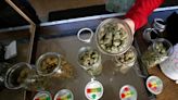 US unveils proposal to ease restrictions on marijuana