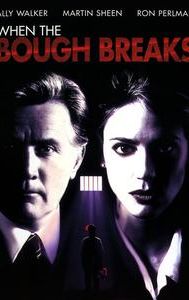 When the Bough Breaks (1994 film)