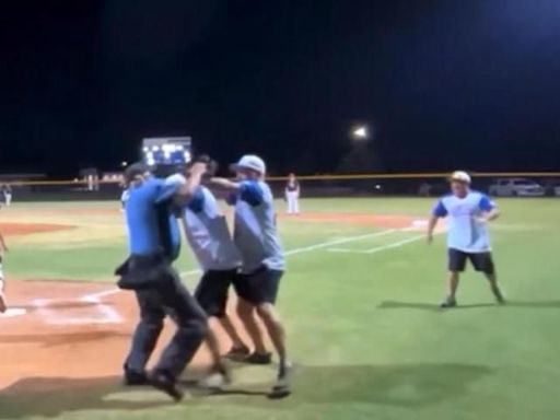 Fight between coach, umpire ruins Little League game in Wilson