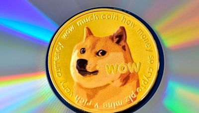 Dogecoin Could Outperform Bitcoin Thanks To Consolidation In The Golden Pocket, Says Trader: 'This Is A Very Good Sign'