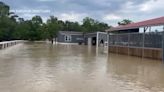 Animals in Plum Grove saved from flooding disaster