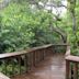 Gumbo Limbo Environmental Complex