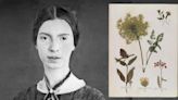 Emily Dickinson's Collection of Plants and Flowers Now Viewable Online for Free