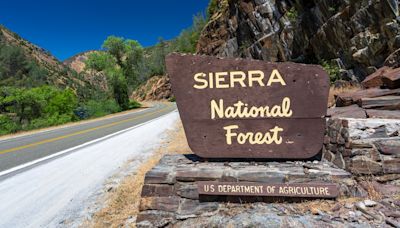 Basin Fire forces partial closure of Sierra National Forest