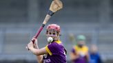 Wexford make early camogie exit as loss in Clare confirms the inevitable