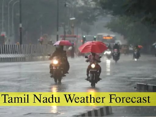 Tamil Nadu Weather Update: Chinnakalar Records 20 CMS Rains; Heavy Downpour Alert Issued