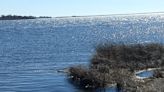 Coastal Connecticut hike a stone's throw from Westerly is a magnet for migrating birds