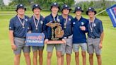 Champion Gladiators: David Ansley wins state title, leads St. Francis to Division 3 championship; Elk Rapids' Baron Vollmer finishes tied for 1st in D3...