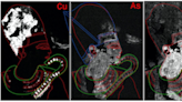 How hidden details in ancient Egyptian tomb paintings are revealed by chemical imaging