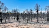 Monsoon conditions help firefighters get control of fires around San Juan County