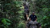 IGP: Police to combat wildlife crimes in Malaysia with new bureau