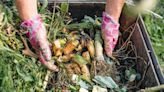 City of Tampa to host free compost giveaway for residents