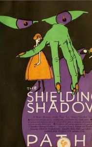 The Shielding Shadow