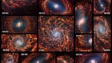 James Webb Space Telescope images show 19 nearby spiral galaxies in detail