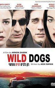 Wild Dogs