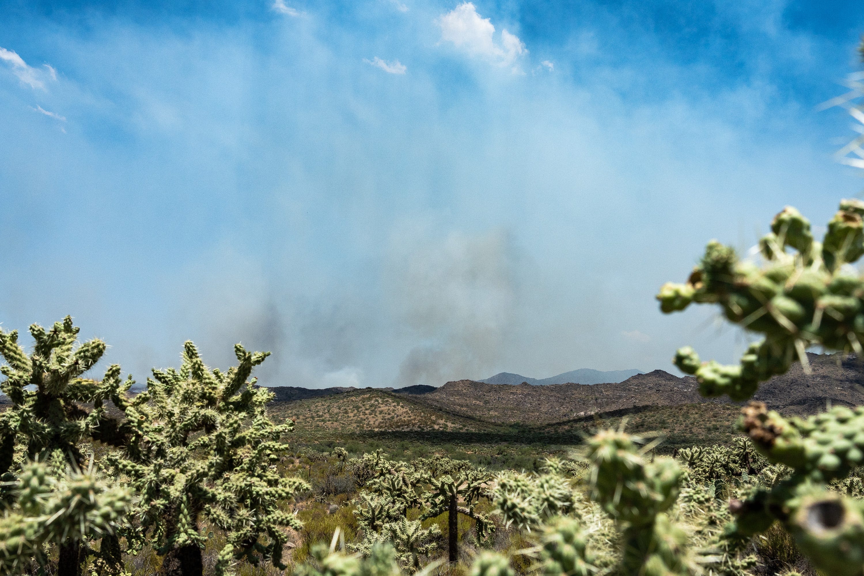 Freeman Fire, north of Tucson, has grown to more than 31,000 acres. How residents are helping
