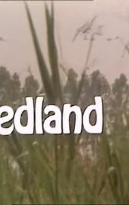 Riedland