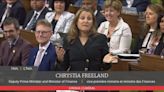 Freeland withdraws comment about Poilievre's makeup after testy exchange