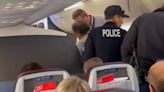 American Airlines plane diverted after passenger punches flight attendant, court documents show