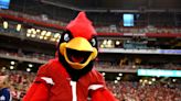 Cardinals’ Big Red one of most memorable mascots in the NFL