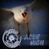 Aces High