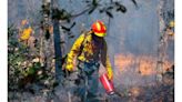 Suman 203 incendios activos en todo México