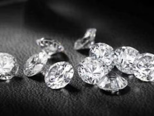 Labourer finds Rs 80 lakh diamond in Madhya Pradesh: ‘Will pay off Rs 5 lakh loan, take care of children’s education’