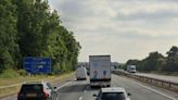 Dog killed in four-vehicle crash on M56