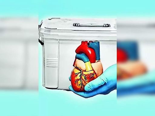 AIIMS Jodhpur Heart Transplant Success at SMS Hospital | Jaipur News - Times of India
