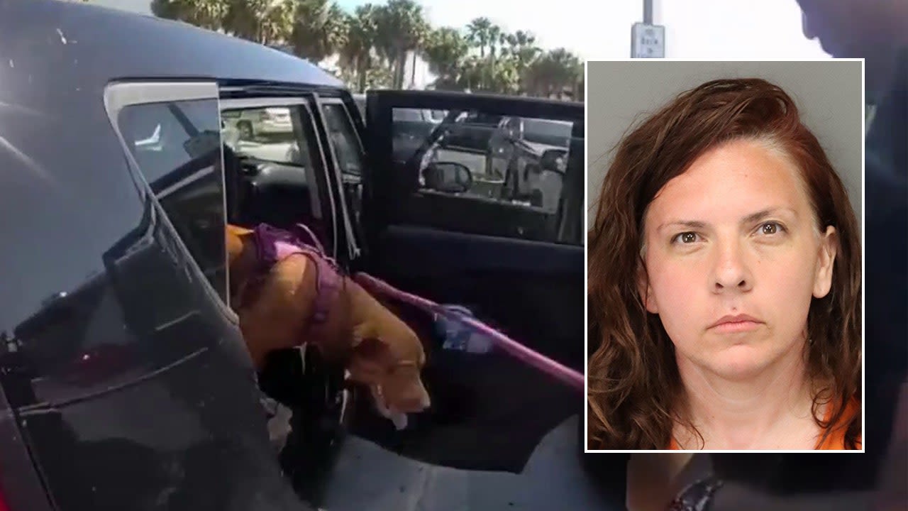 Nashville woman arrested after Florida police rescue her dog from hot car parked at beach