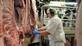 CCTV to become mandatory in Wales' slaughterhouses