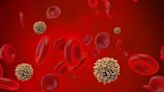 Un test de sangre para detectar más de 50 tipos de cáncer mostró resultados alentadores en un estudio de Oxford