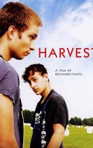 Harvest