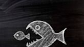 'Terrifying' Staring Fish Shocks Onlookers: 'New Fear Unlocked' | B98 FM | Jeff Stevens