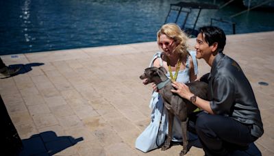 The real stars of Cannes may be the dogs
