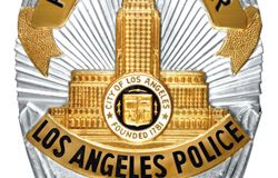 A Suspect Evading Newton area Los Angeles Police Department Officers in a Gold Chevy Suburban, Strikes and Kills Bicyclist