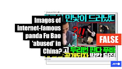 China 'panda abuse' images falsely linked to famous S.Korea-born Fu Bao