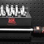 *韋恩工具* AOK 可換頭 14x18 扭力板手 視窗型 20-100Nm 公制 牛頓米 TIW100N2