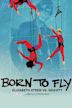 Born to Fly: Elizabeth Streb vs. Gravity