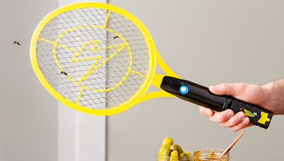 Grab this racket-like bug zapper that 'vaporizes those little flying demons' for 40% off