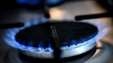 Demand for gas down so far in 2024 – report - Homepage - Western People