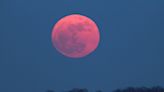 Look to the Skies: Here's How To See The Pink Moon Tonight