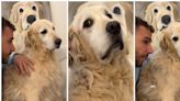 La reacción de este Golden Retriever cuando le comunican que no podrá dormir con sus dueños