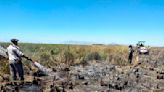 Fuego en el Parque Iberá: el número de hectáreas arrasadas por las llamas que alarma a Corrientes