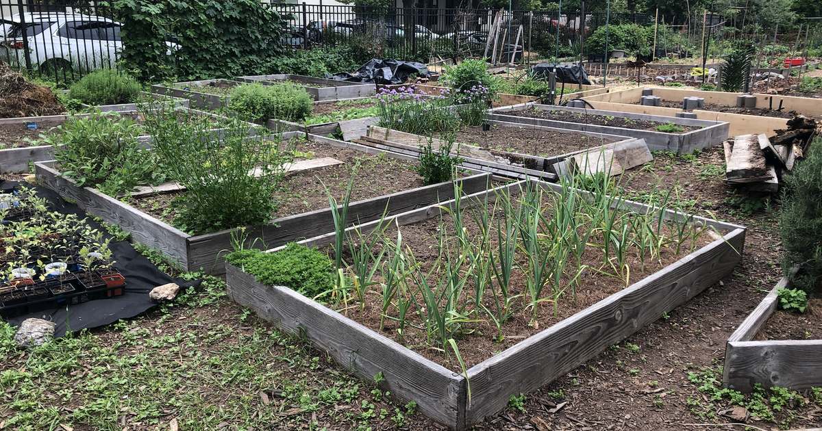 Philly's plan to boost urban farming is underway, but challenges lie ahead