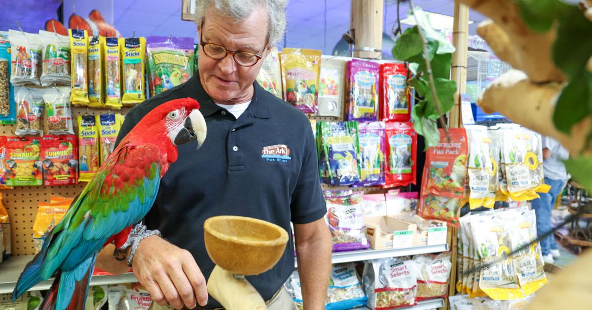 The Ark Pet Shop celebrates 45 years of staying afloat amid flood of corporate rivals