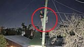 Video: trepó a un poste de luz para robar cables y lo detuvieron infraganti